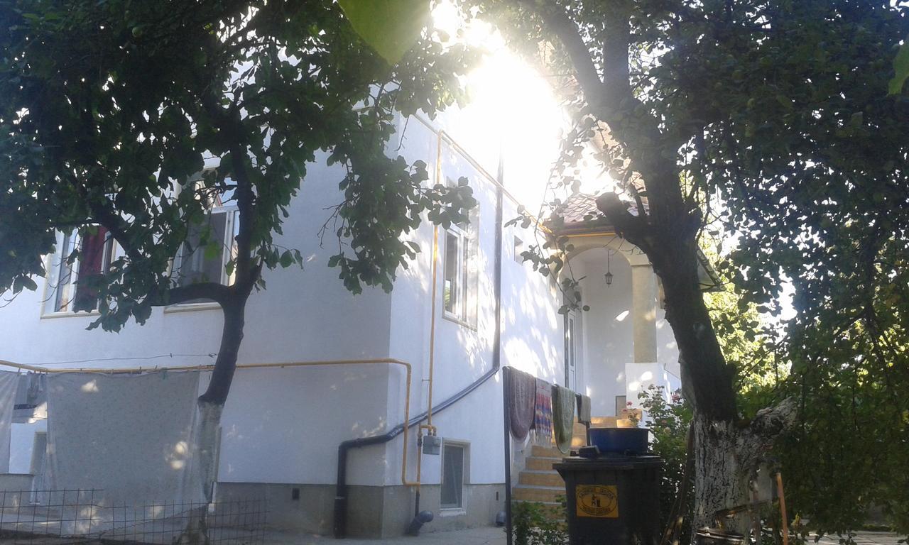 Alfredo Hostel Craiova Eksteriør billede